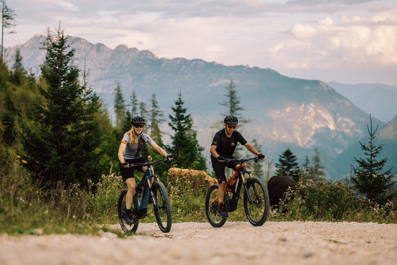 Cyclistes en VTT utilisant des vélos KTM dans un paysage de montagne